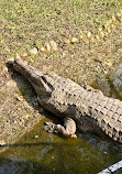 Taipei Zoo