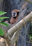 Taipei Zoo