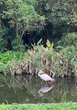 Taipei Zoo