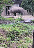 Taipei Zoo