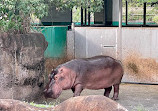 Taipei Zoo