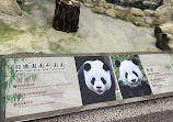 Taipei Zoo