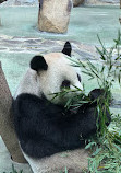 Taipei Zoo