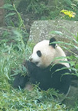 Taipei Zoo