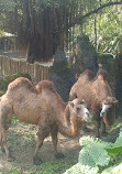 Taipei Zoo