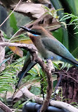 Taipei Zoo