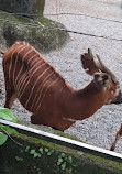 Taipei Zoo