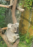 Taipei Zoo