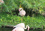 Taipei Zoo