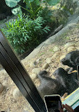 Taipei Zoo