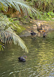 Taipei Zoo