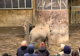 Oregon Zoo