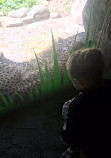 Oregon Zoo