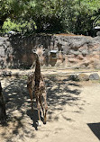 Oregon Zoo