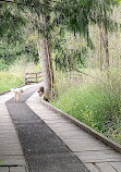 Aldergrove Regional Park