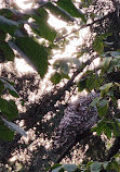 Aldergrove Regional Park