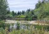 Aldergrove Regional Park