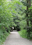 Aldergrove Regional Park