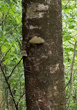 Aldergrove Regional Park