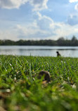 Spielplatz Fasaneriesee Nordufer