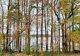 Buford Dam Park