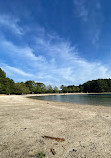 Buford Dam Park