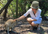 Caversham Wildlife Park