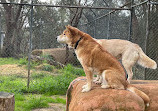 The West Australian Reptile Park