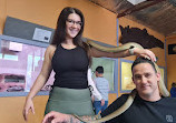 The West Australian Reptile Park