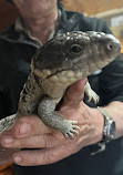 The West Australian Reptile Park