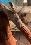 The West Australian Reptile Park