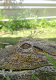 The West Australian Reptile Park