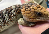 The West Australian Reptile Park