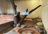 The West Australian Reptile Park