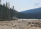 Wapta Falls Main Trail