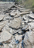 Wapta Falls Main Trail