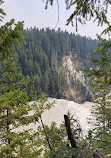 Wapta Falls Main Trail