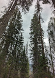 Emerald Lake Parking