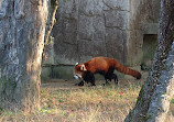 Yagiyama Zoological Park