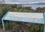 Pedder Lake Lookout