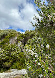 Knob Hill Lookout