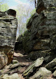 Cleveland Metroparks Hinckley Reservation