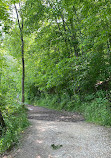 Cleveland Metroparks Hinckley Reservation