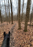 Cleveland Metroparks Hinckley Reservation