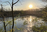 Hinckley Lake Trail Loop