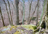 Whipps Ledges