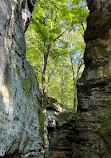 Whipps Ledges