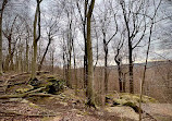 Whipps Ledges