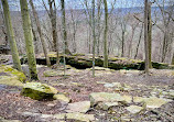 Whipps Ledges