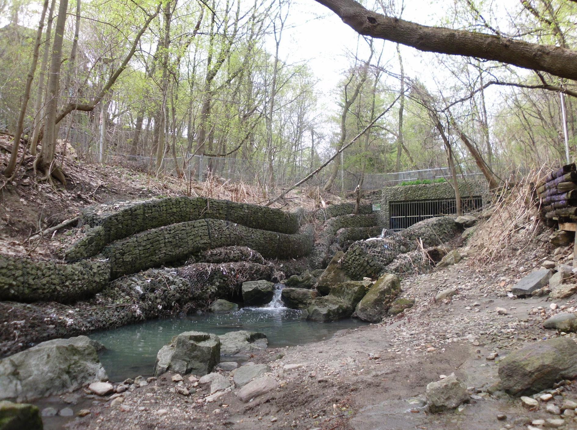 David Balfour Park Trail